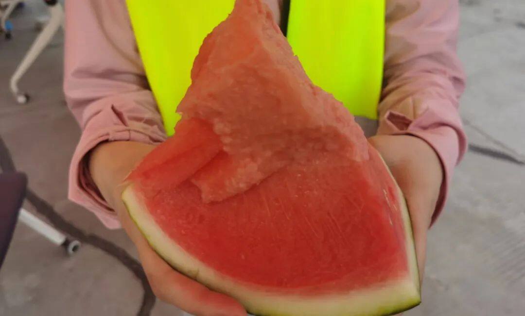 镜头特写 | 顶高温 战酷暑 端午假期我在岗 图片